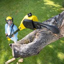 Reisterstown, MD Tree Removal Company
