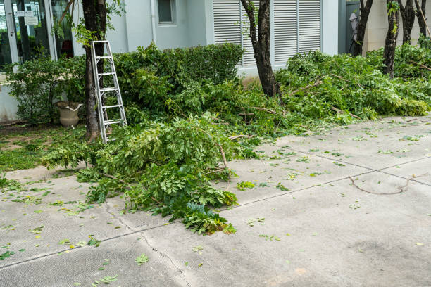Best Arborist Consultation Services  in Reisterstown, MD